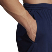 Training Shorts Entry 22