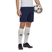 Training Shorts Entry 22