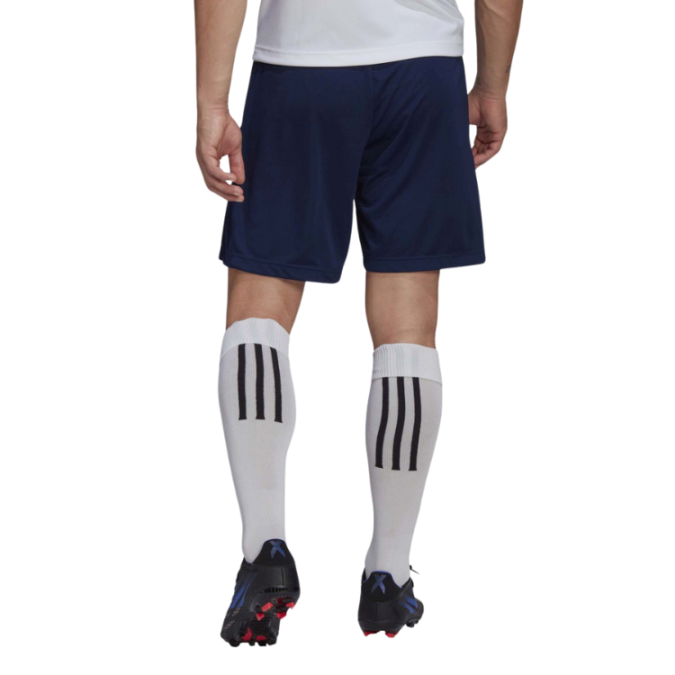 Training Shorts Entry 22