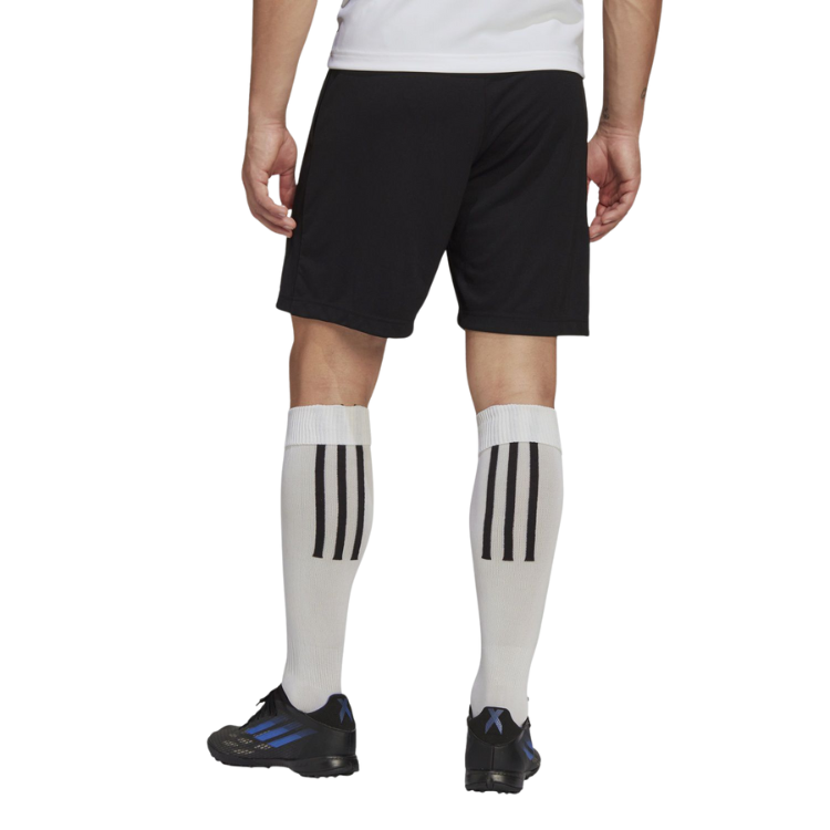 Training Shorts Entry 22