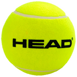 Pelota Inflable Grande